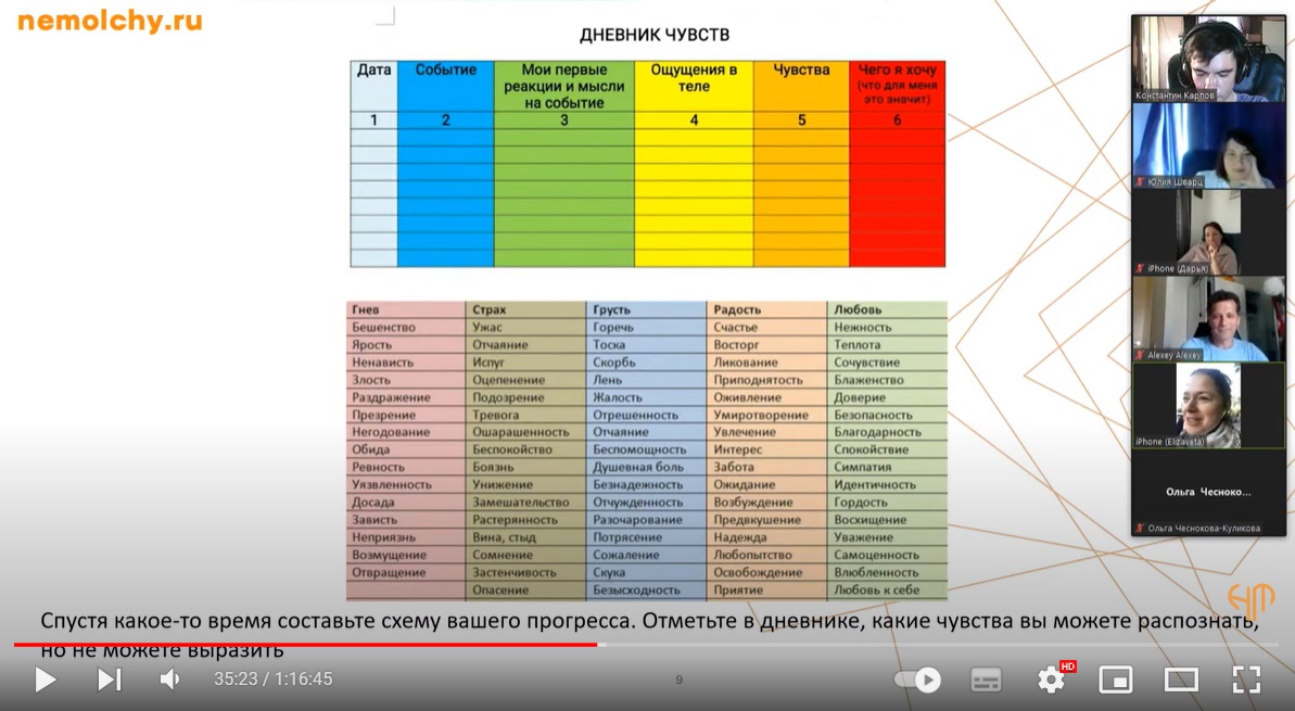 Вебинар Чувства и эмоции
