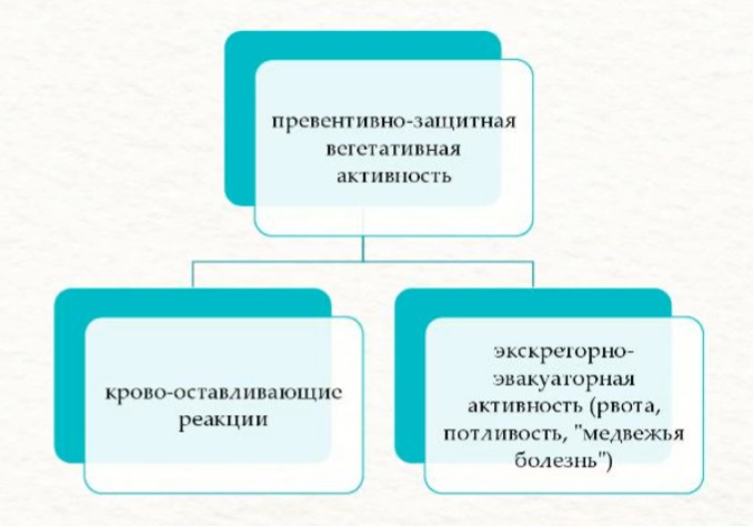 Превентивно-защитная активность организма
