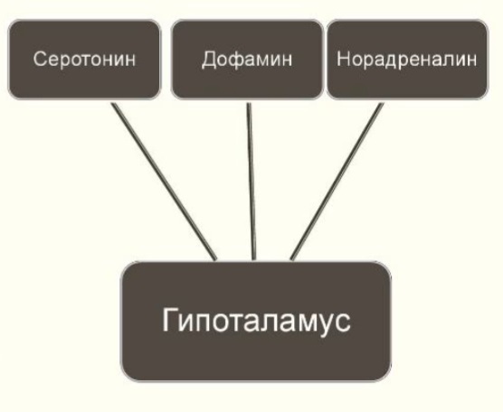 Стрессовые системы головного мозга