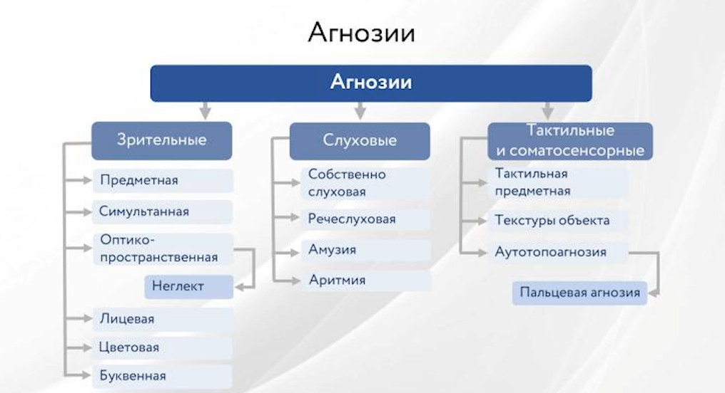 Виды агнозий: зрительные, слуховые и тактильные