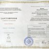 krizisnaya